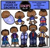 Human Stages Of Growth 4 - African American Male {Educlips