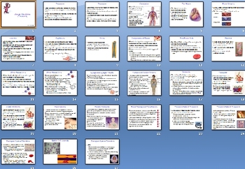 Preview of Human Systems Homeostasis Unit Bundle - 39 files