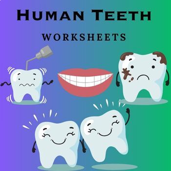 Preview of Human Teeth Printable Worksheets