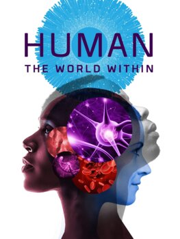 Preview of Human The World Within Season 1 Bundle Episodes 1 - 6 Movie Guides W/Answers