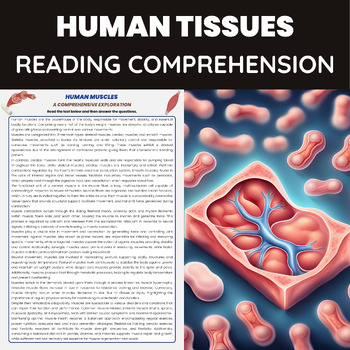 Preview of Human Tissues Reading Passage | Human Body Organs | Anatomy & Physiology