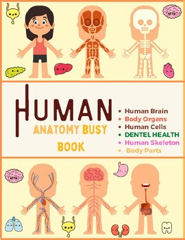 Preview of Human anatomy busy book 2024/2025
