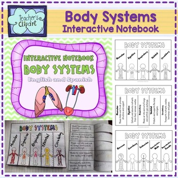 Human body Systems Interactive Notebook