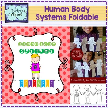 Preview of Human body Systems foldable
