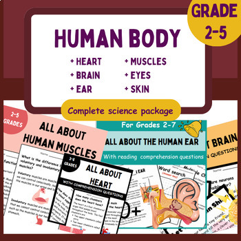 Preview of Human body bundle: Brain, Bones, Heart, Ear, Eye, bone and Muscles Bundle