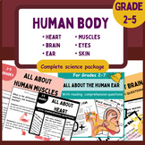 Human body bundle: Brain, Bones, Heart, Ear, Eye, bone and