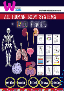 Preview of Human body systems  Bundle Science Interactive Notebook ( 1,200  worksheets)