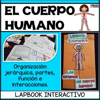 Preview of El cuerpo humano: Sistemas e interacción | Human body system SPANISH