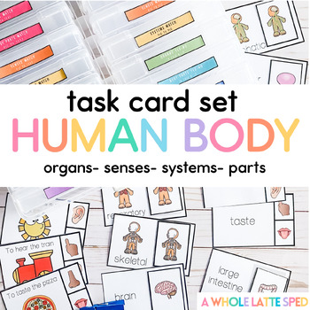 Preview of Human body task card task box set for special education