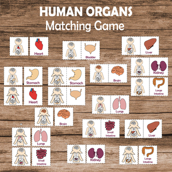 Human organs Matching Game by Slippery Tippy Toes | TPT