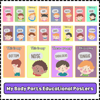 Preview of Human's Body Parts Posters Educational Classroom Poster Printable Montessori