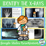 Human skeleton identify the X-rays and bones Google Slides