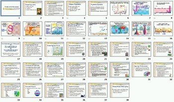 Preview of Humans Environment Ecology Smartboard Notebook Presentation Lesson
