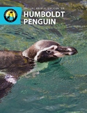 Humboldt Penguin Work Packet, Crafts and Worksheets