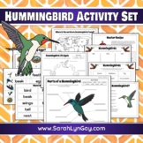 Hummingbird Life Cycle