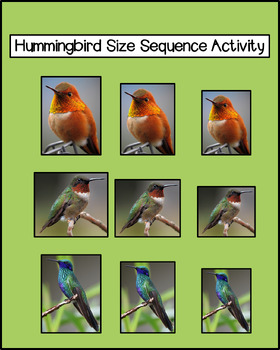 Preview of Hummingbird Size Sequence Activity