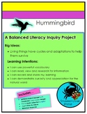 Hummingbirds - Literacy Inquiry Project