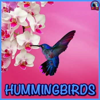 Preview of Hummingbirds - PowerPoint and Activities