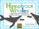 Humpback Whales {science, literacy, and craftivity}