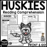 Huskies Reading Comprehension Worksheet Call of the Wild Dogs