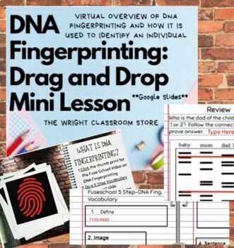 Preview of Hybrid Learning I DNA Fingerprinting Drag and Drop