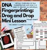 Hybrid Learning I DNA Fingerprinting Drag and Drop