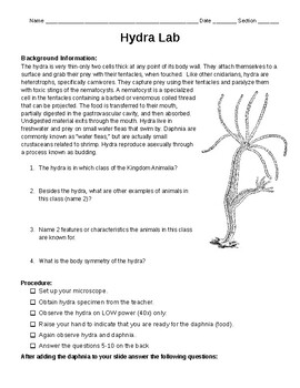 Hydra Worksheets Teaching Resources Teachers Pay Teachers