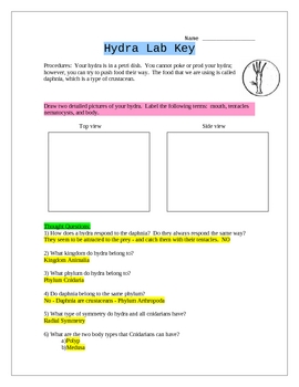 Hydra Lab With Daphnia Phylum Cnidaria By Science Guys Tpt