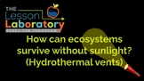 Hydrothermal Vents- How can ecosystems survive without sunlight?