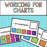 I Am Working For Charts | General or Special Education