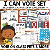 Preschool Election and Class Voting Set