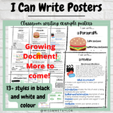 I Can Write Anchor Charts - writing posters