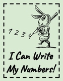 I Can Write My Numbers!