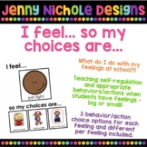 I Feel...So My Choices Are...: Teaching self-regulation/be