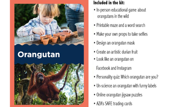 Preview of I Heart Orangutans Activity Toolkit