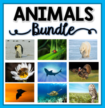 Preview of Animals Nonfiction Units & Graphic Organizers - BUNDLE