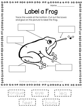 Frogs: Nonfiction Mini Unit & Graphic Organizers by Mrs Thompson's ...