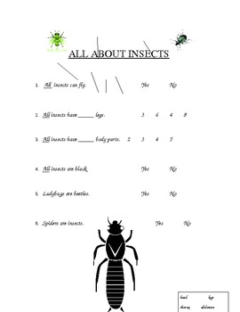 Preview of I Know Alot About Insects!