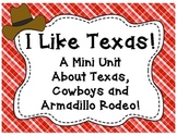 I Like Texas-A Mini Unit