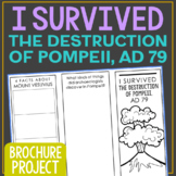 I SURVIVED THE DESTRUCTION OF POMPEII Novel Study Unit | B