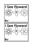 I See Flowers Emergent Reader Book for Preschool & Kindergarten