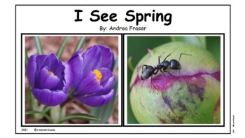 Preview of I See Spring Emergent Reader PowerPoint Slideshow - Kindergarten - Grade 1