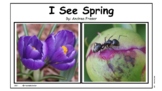 I See Spring Emergent Reader PowerPoint Slideshow - Kinder