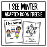 I See Winter Adapted Book | FREEBIE