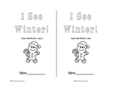 I See Winter Emergent Reader- 4 versions!