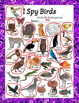 Animal Classification I Spy Mammals Birds Fish Amphibians Reptiles  Printables