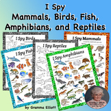 Animal Classification I Spy Mammals Birds Fish Amphibians 