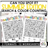 I Spy Summer Search and Find Early Finishers Activity