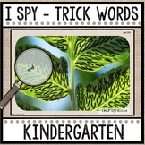 Tiny Word Hunt | I Spy Trick Words | Kindergarten | Nature