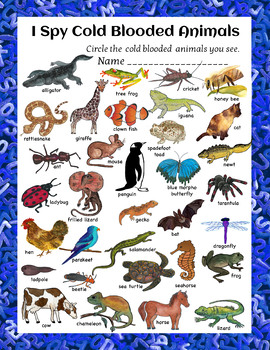 Animal Classification Worksheets Warm and Cold Blooded I Spy Fun